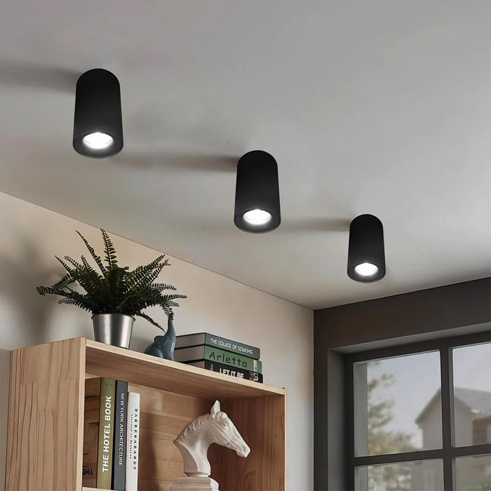 Светильник LOFT IT 10220 Black 4000K